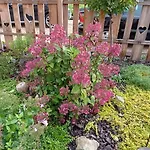 Gospodarstwo agroturystyczne Dom Mili