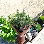 Gospodarstwo agroturystyczne Dom Mili