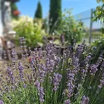 Dom Mili Gospodarstwo agroturystyczne Henrykow Lubanski