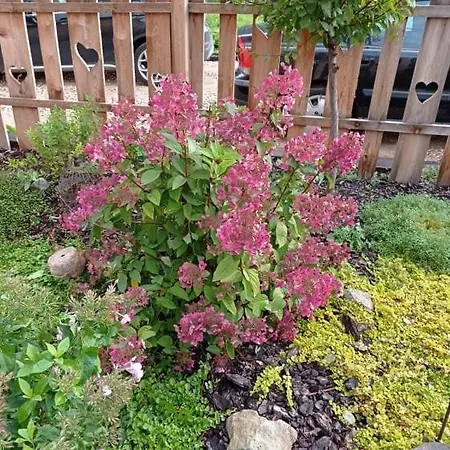 Séjour à la ferme Dom Mili