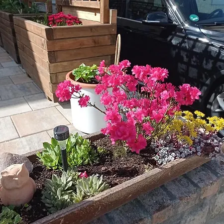 Dom Mili Bauernhof *