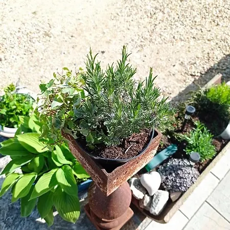 Séjour à la ferme Dom Mili