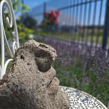 Dom Mili * Henrykow Lubanski