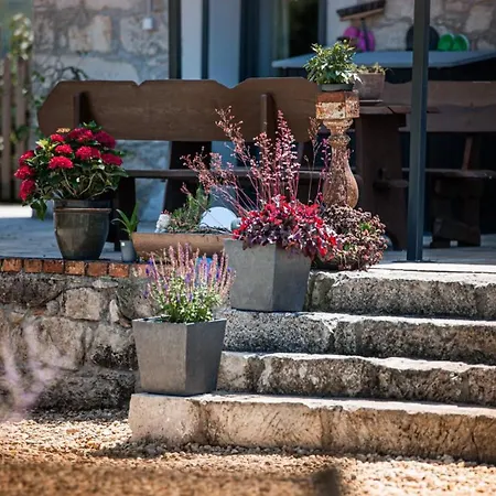 Dom Mili Bauernhof *