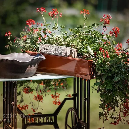 Dom Mili * Henrykow Lubanski