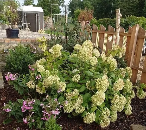 בית חווה Dom Mili