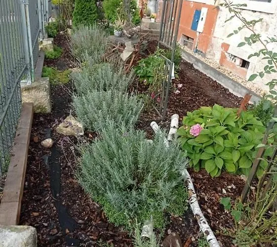 Dom Mili * Henrykow Lubanski