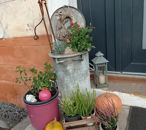 בית חווה Dom Mili *