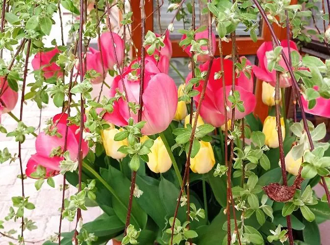 בית חווה Dom Mili Henrykow Lubanski