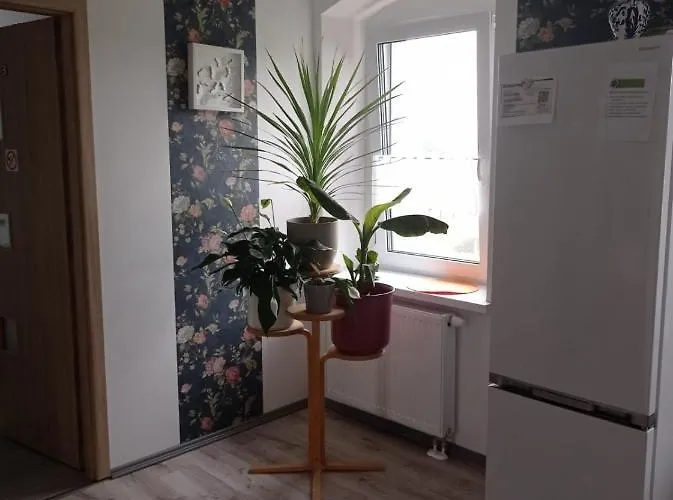 Dom Mili Henrykow Lubanski