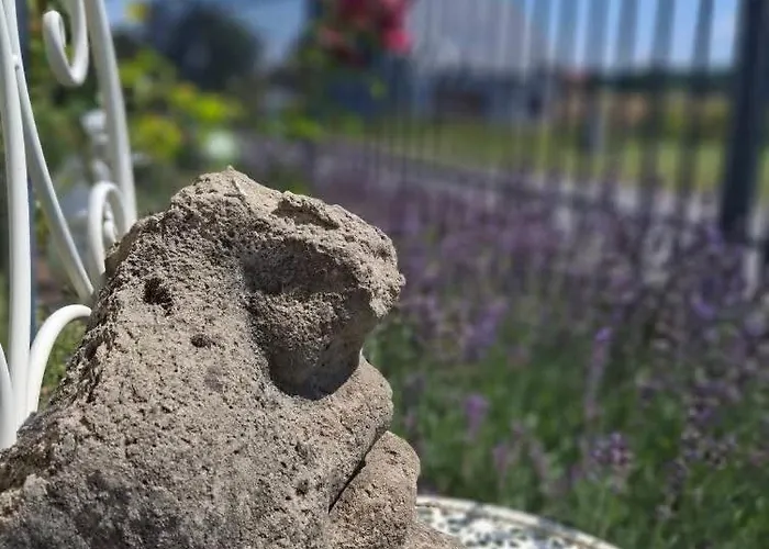 Dom Mili * Henrykow Lubanski