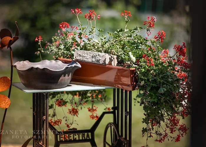 Dom Mili * Henrykow Lubanski